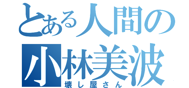 とある人間の小林美波（壊し屋さん）