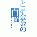 とある金金の白痴（白痴の金金）