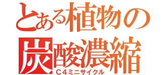 とある植物の炭酸濃縮経路（Ｃ４ミニサイクル）