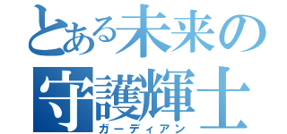 とある未来の守護輝士（ガーディアン）