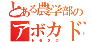 とある農学部のアボカド研究者（トモタカ）