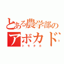 とある農学部のアボカド研究者（トモタカ）