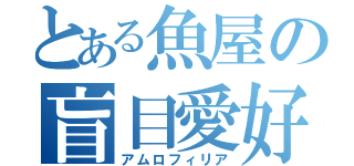 とある魚屋の盲目愛好（アムロフィリア）