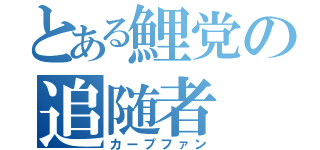 とある鯉党の追随者（カープファン）