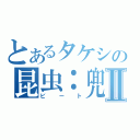 とあるタケシの昆虫：兜Ⅱ（ビート）