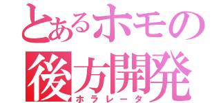 とあるホモの後方開発（ホラレータ）