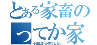 とある家畜のってか家畜（小島以外の何でもない）