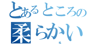 とあるところの柔らかい（　　　　　　　　　　毛）