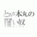 とある本丸の白い奴（驚いたか）