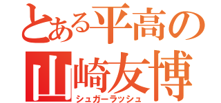 とある平高の山崎友博（シュガーラッシュ）