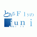 とあるＦｌｙのｊｕｎｉ（Ｏｒ １５）