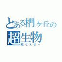 とある椚ヶ丘の超生物（殺せんせー）