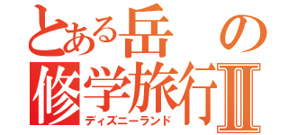 とある岳の修学旅行Ⅱ（ディズニーランド）