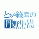 とある綾鷹の丹野隼嵩（幸せのちから）