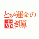 とある運命の赤き瞳（シン・アスカ）