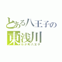 とある八王子の東浅川（わが町八王子）