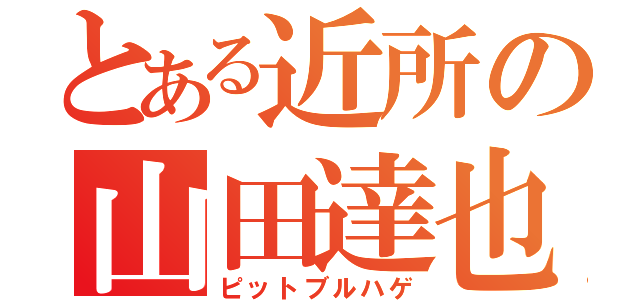 とある近所の山田達也（ピットブルハゲ）