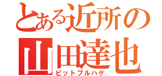 とある近所の山田達也（ピットブルハゲ）