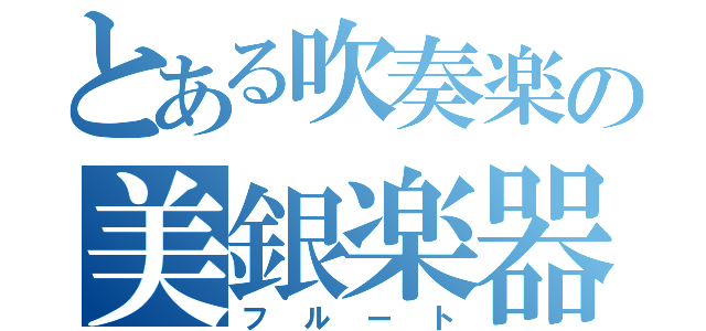 とある吹奏楽の美銀楽器（フルート）