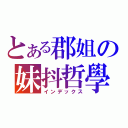 とある郡姐の妹抖哲學（インデックス）