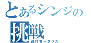 とあるシンジの挑戦（逃げちゃダメだ）