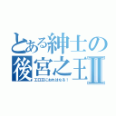 とある紳士の後宮之王Ⅱ（工口王におれはなる！）