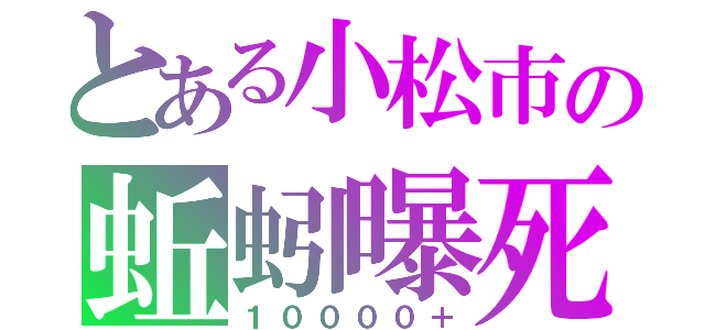 とある小松市の蚯蚓曝死（１００００＋）