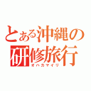 とある沖縄の研修旅行（オハカマイリ）