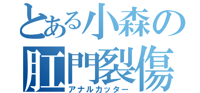 とある小森の肛門裂傷（アナルカッター）