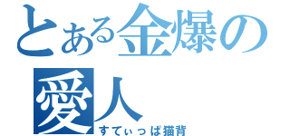 とある金爆の愛人（すてぃっぱ猫背）