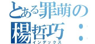 とある罪萌の楊哲巧：）（インデックス）