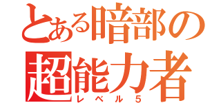 とある暗部の超能力者（レ ベ ル ５）