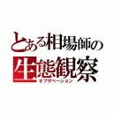 とある相場師の生態観察（オブザベーション）