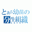 とある幼苗の分生組織（生物中毒）