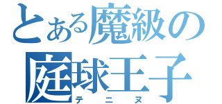 とある魔級の庭球王子（テニヌ）