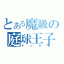 とある魔級の庭球王子（テニヌ）