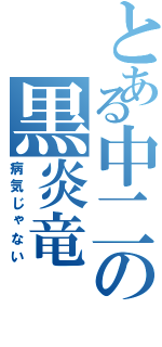 とある中二の黒炎竜（病気じゃない）