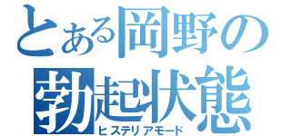 とある岡野の勃起状態（ヒステリアモード）