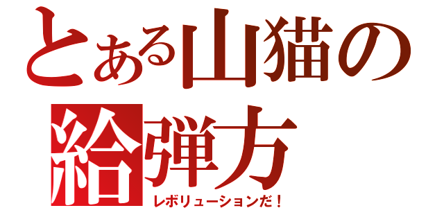 とある山猫の給弾方（レボリューションだ！）