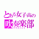 とある女子高の吹奏楽部（ブラスバンド）