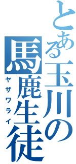 とある玉川の馬鹿生徒（ヤザワライ）