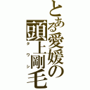 とある愛媛の頭上剛毛（タワシ）