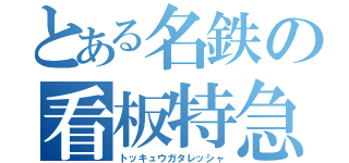 とある名鉄の看板特急（トッキュウガタレッシャ）