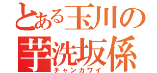 とある玉川の芋洗坂係長（チャンカワイ）