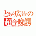 とある広告の超今晩鰐（真！こんばんワニ）