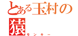 とある玉村の猿（モンキー）