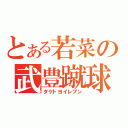 とある若菜の武豊蹴球軍団（タケトヨイレブン）