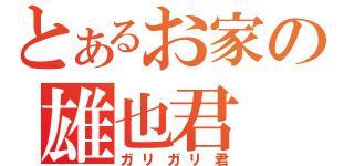 とあるお家の雄也君（ガリガリ君）