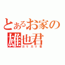 とあるお家の雄也君（ガリガリ君）