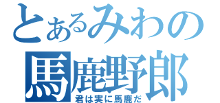 とあるみわの馬鹿野郎（君は実に馬鹿だ）